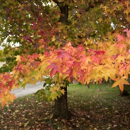 Il Giardino Dei Fiori Gæstehus San Giuliano Terme