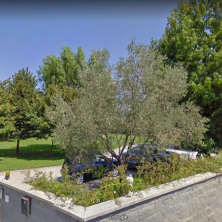 Il Giardino Dei Fiori Gæstehus