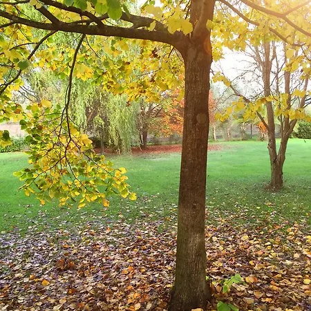 Gæstehus Il Giardino Dei Fiori